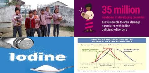 Iodine and mental development.jpg