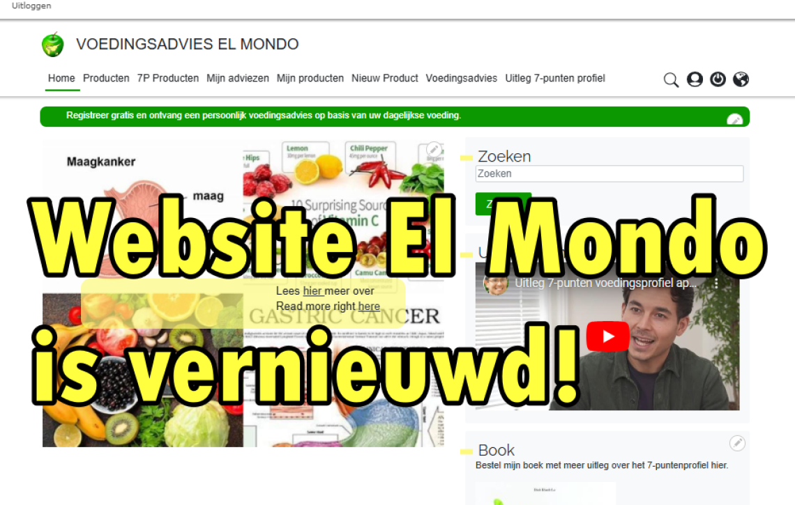 Website El Mondo